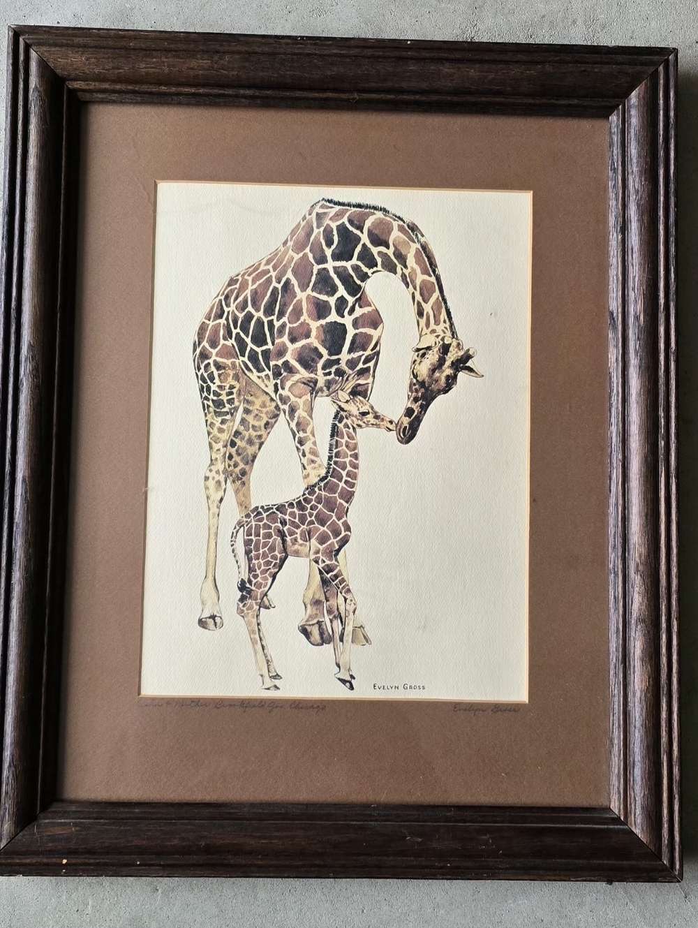 Giraffe Mother & Calf Framed Art Print - Brown Tones